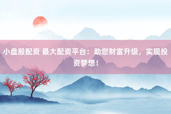 小盘股配资 最大配资平台：助您财富升级，实现投资梦想！