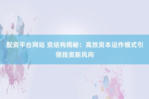 配资平台网站 资结构揭秘：高效资本运作模式引领投资新风向