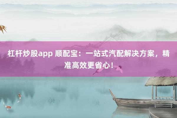 杠杆炒股app 顺配宝：一站式汽配解决方案，精准高效更省心！