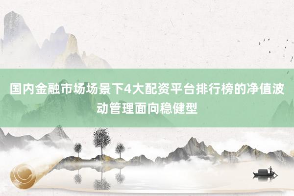 国内金融市场场景下4大配资平台排行榜的净值波动管理面向稳健型