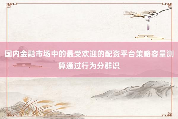 国内金融市场中的最受欢迎的配资平台策略容量测算通过行为分群识