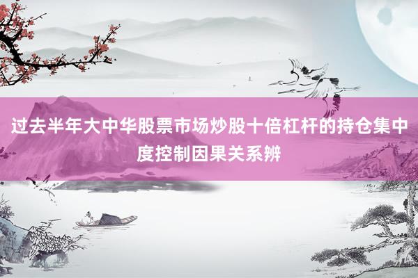 过去半年大中华股票市场炒股十倍杠杆的持仓集中度控制因果关系辨