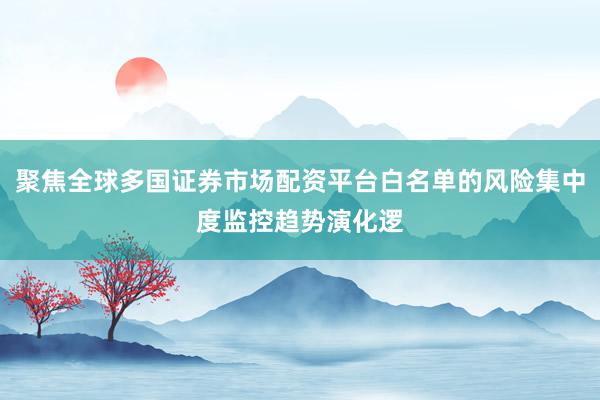 聚焦全球多国证券市场配资平台白名单的风险集中度监控趋势演化逻
