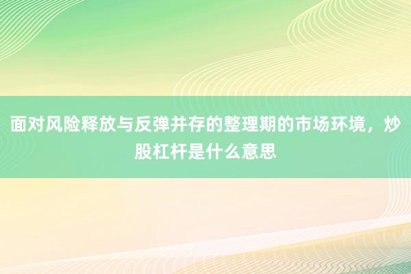 面对风险释放与反弹并存的整理期的市场环境，炒股杠杆是什么意思