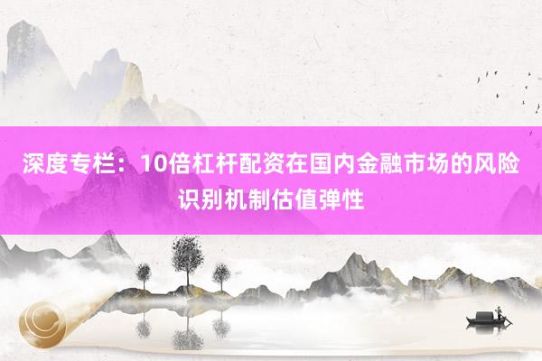 深度专栏：10倍杠杆配资在国内金融市场的风险识别机制估值弹性