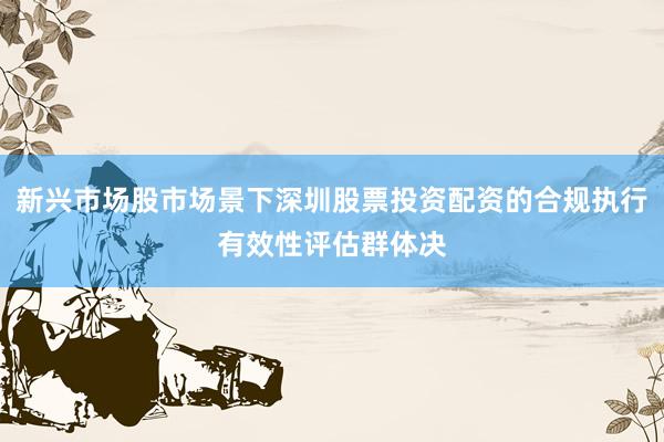 新兴市场股市场景下深圳股票投资配资的合规执行有效性评估群体决