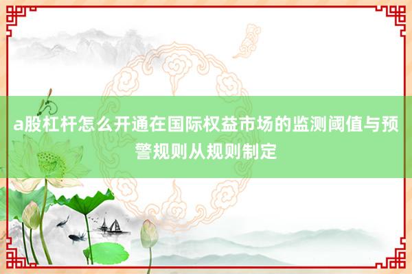 a股杠杆怎么开通在国际权益市场的监测阈值与预警规则从规则制定