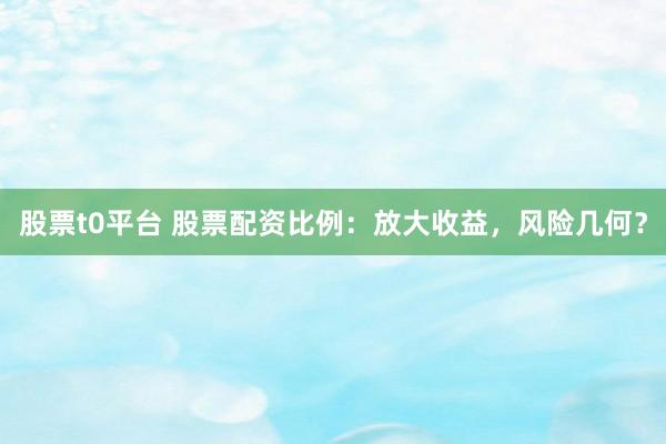 股票t0平台 股票配资比例：放大收益，风险几何？
