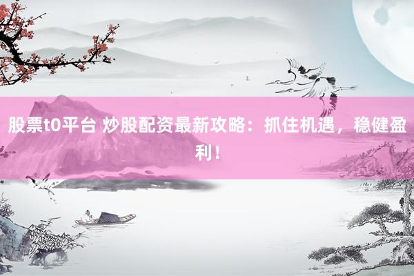 股票t0平台 炒股配资最新攻略：抓住机遇，稳健盈利！
