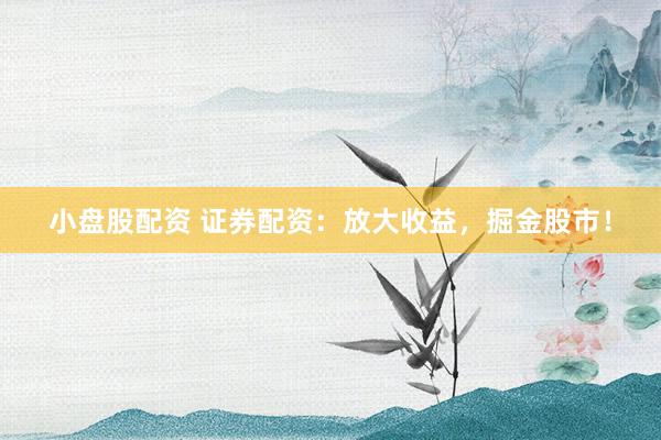 小盘股配资 证券配资：放大收益，掘金股市！