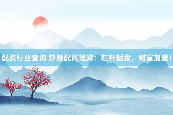 配资行业查询 炒股配资理财：杠杆掘金，财富加速！