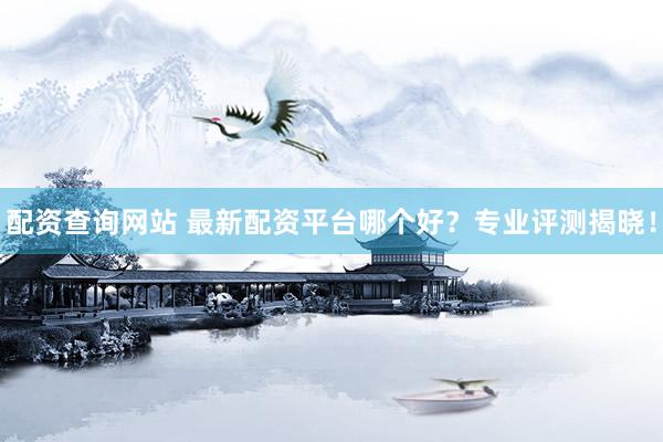 配资查询网站 最新配资平台哪个好？专业评测揭晓！